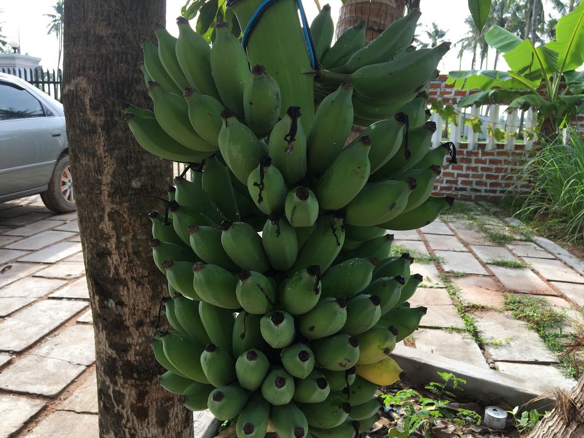 Green Life Cottage Siem Reap Ngoại thất bức ảnh