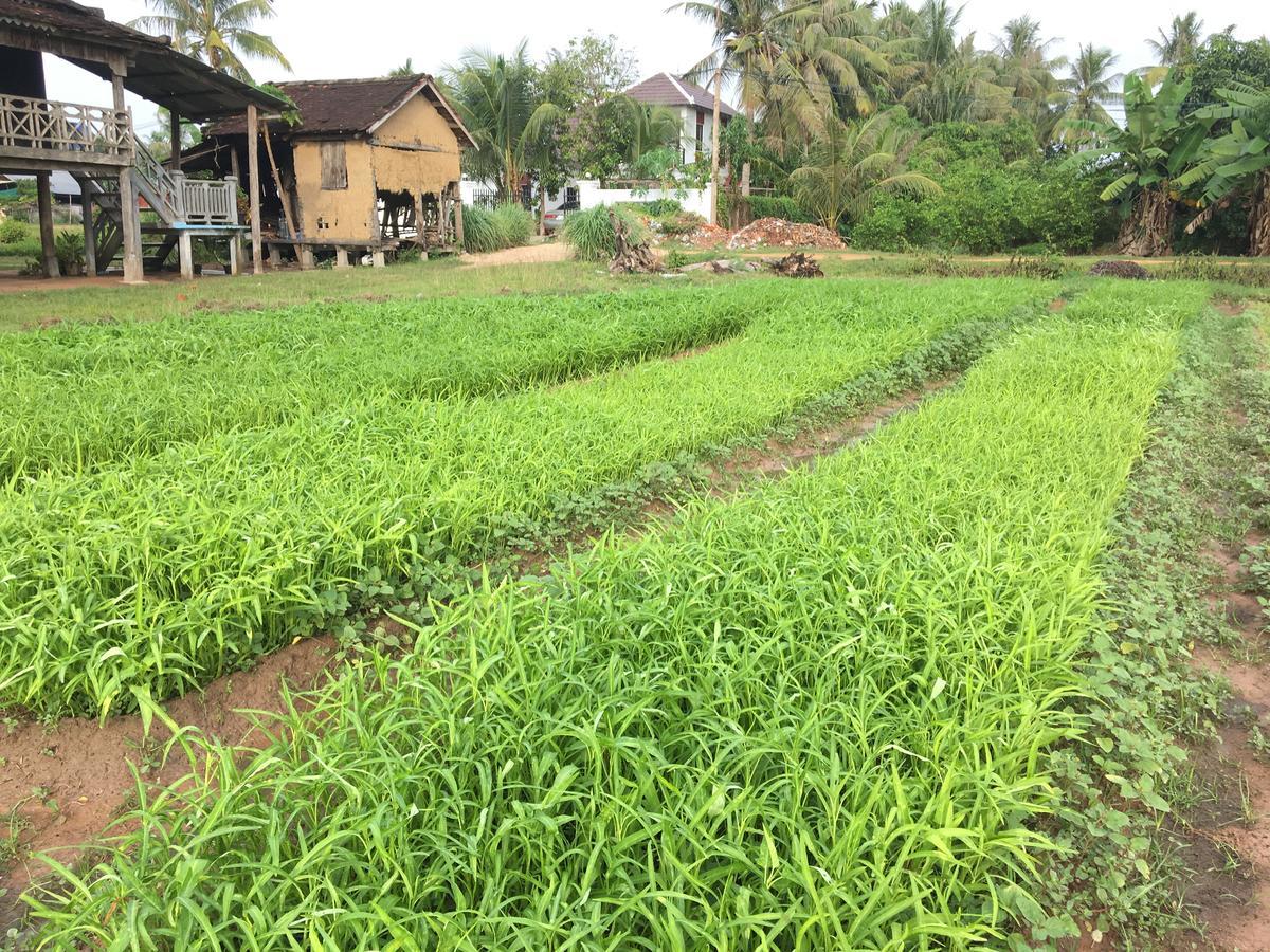 Green Life Cottage Siem Reap Ngoại thất bức ảnh