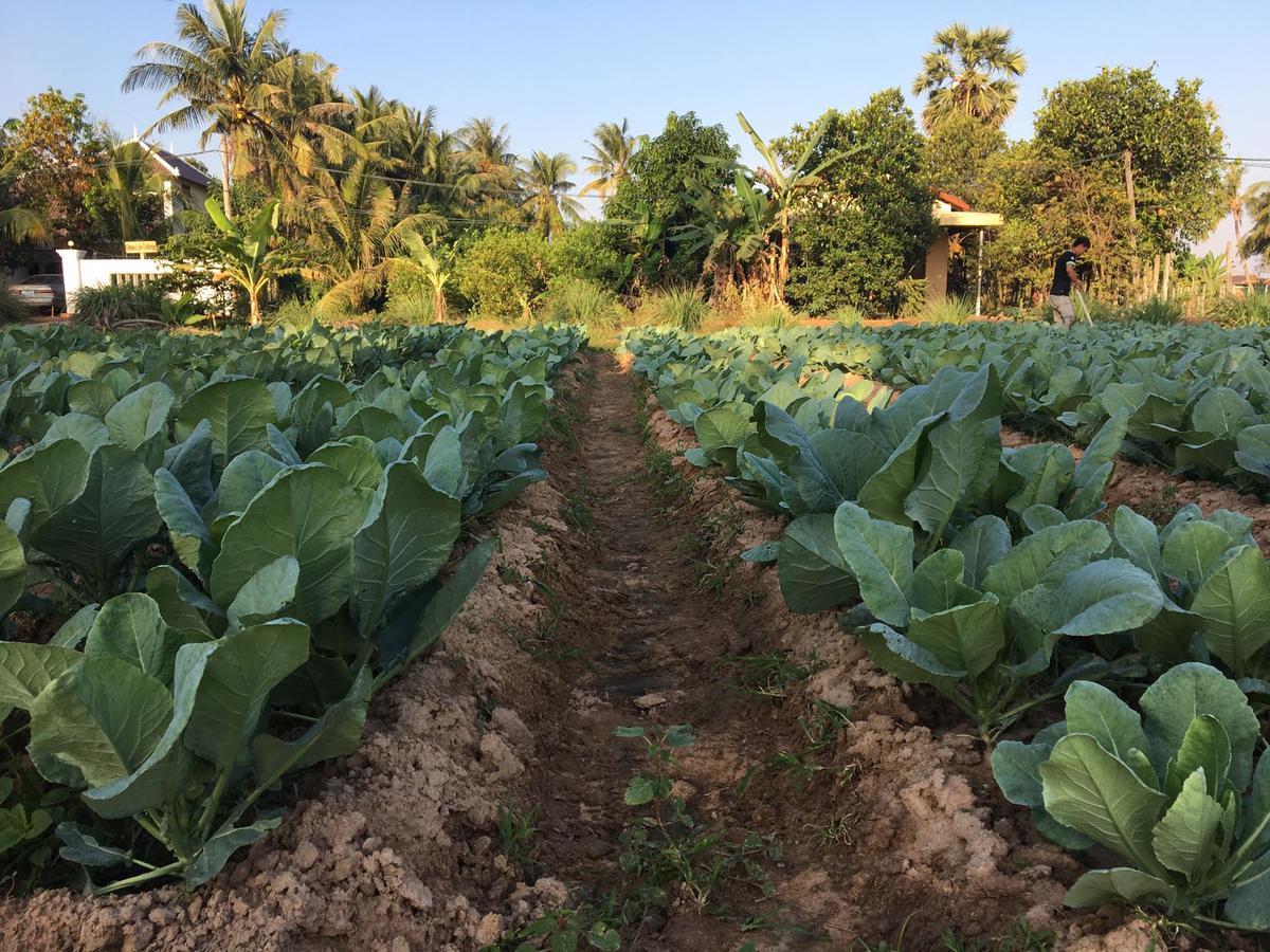 Green Life Cottage Siem Reap Ngoại thất bức ảnh