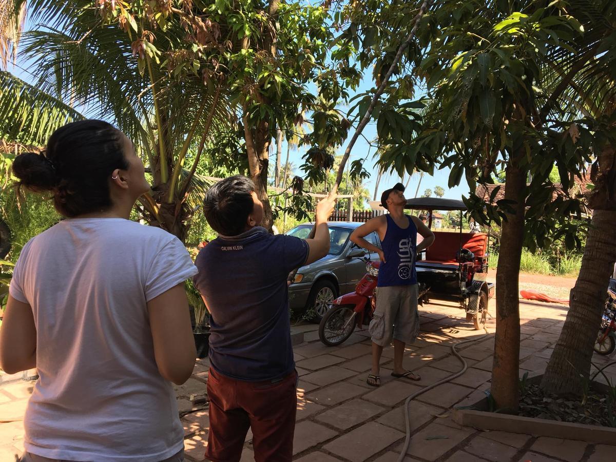 Green Life Cottage Siem Reap Ngoại thất bức ảnh