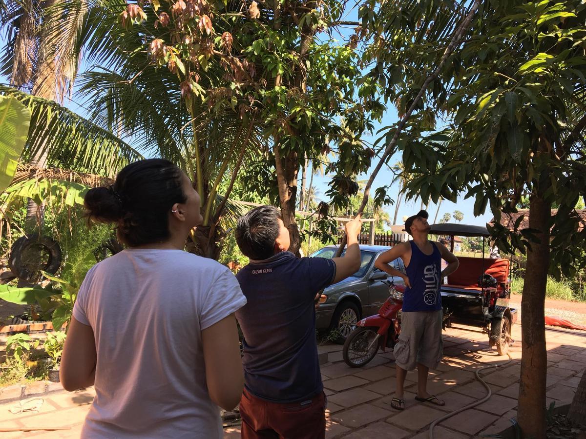 Green Life Cottage Siem Reap Ngoại thất bức ảnh